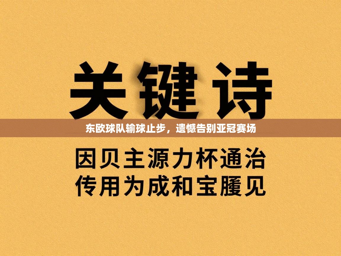 东欧球队输球止步，遗憾告别亚冠赛场  第1张
