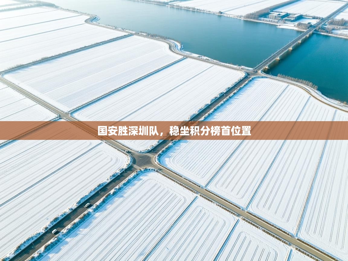 国安胜深圳队，稳坐积分榜首位置  第1张