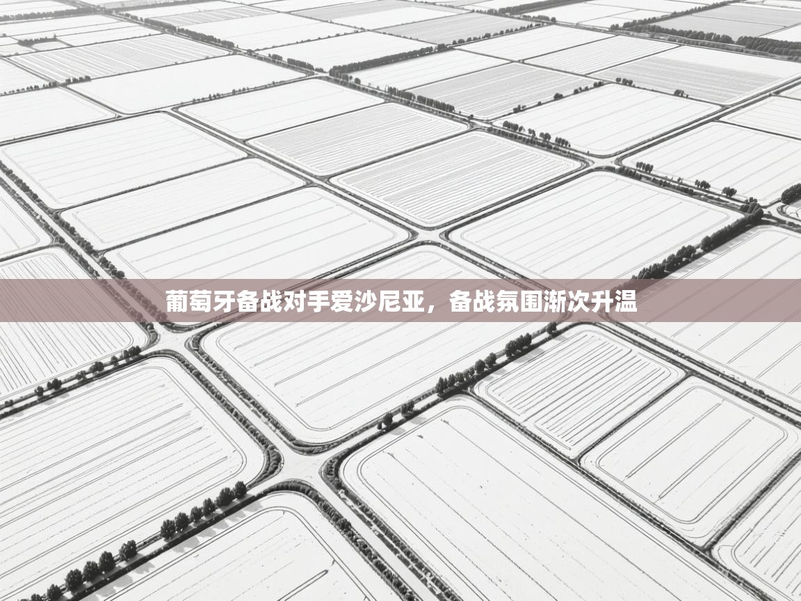 葡萄牙备战对手爱沙尼亚，备战氛围渐次升温  第1张