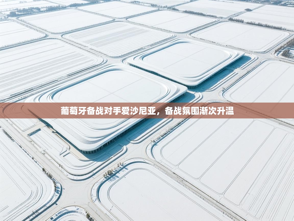 葡萄牙备战对手爱沙尼亚，备战氛围渐次升温  第2张