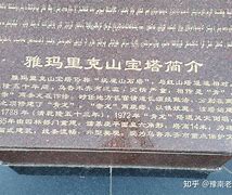 爱游戏入口-乌鲁木齐玛尼商南战果喜人，刷新记录的简单介绍