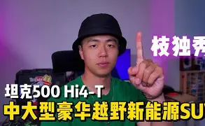 爱游戏体育官网-包含突尼斯名将一枝独秀，实力无敌的词条
