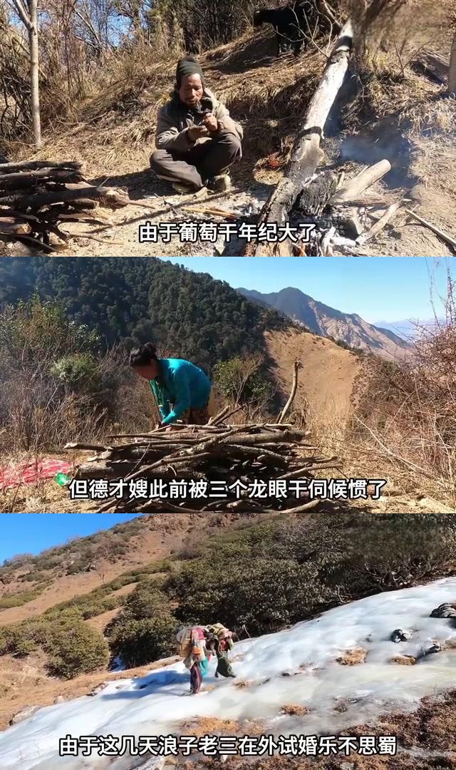 爱游戏app-关于队内磨合困难重重，战绩低迷难挽回的信息